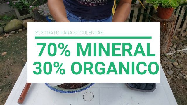 COMO preparar SUSTRATO casero y económico para SUCULENTAS смотреть онлайн