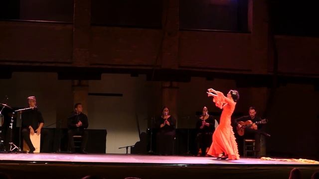 FLAMENCO PROMOCIONAL DE TATIANA GARRIDO ``NOCHE FLAMENCA´´ смотреть онлайн