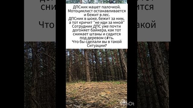 Забавная Мото ситуация смотреть онлайн