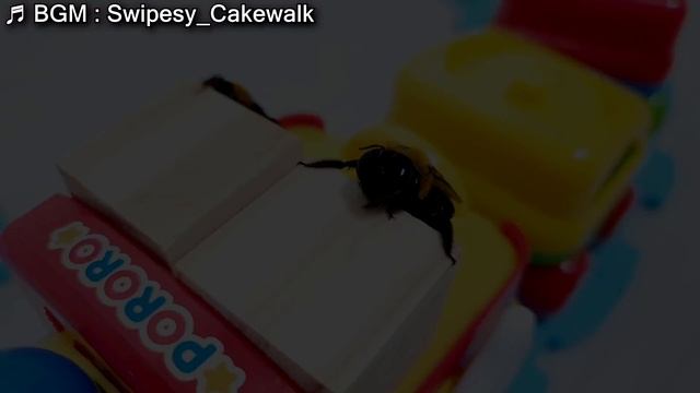 뽀로로 장난감 기차를 타는 호박벌과 청개구리 bees and frogs ride a pororo toy train together? смотреть онлайн