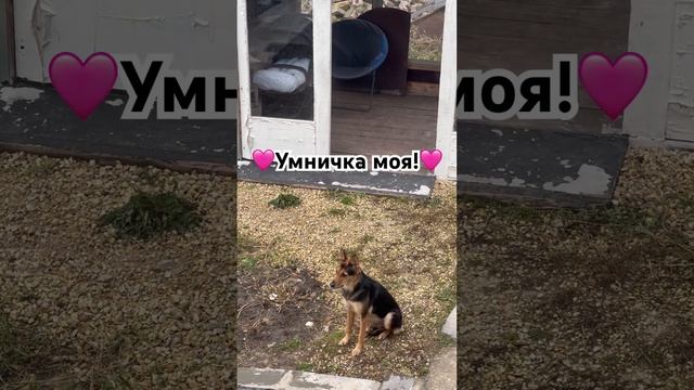 И ребёнок выспался и суп сварился? смотреть онлайн