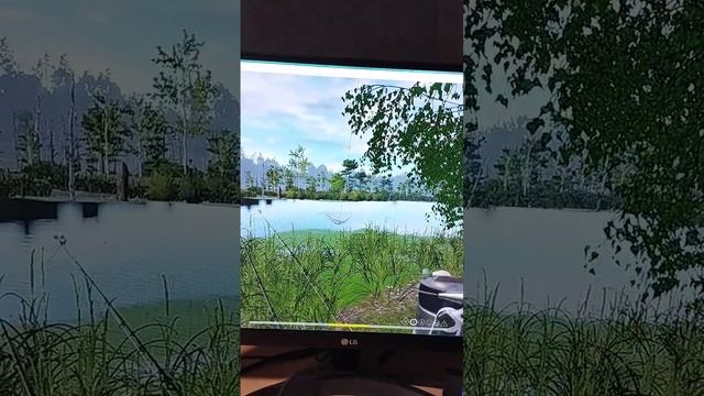 #shorts Русская Рыбалка 4 Оз.Старый Острог Плотва обыкновенная 312г смотреть онлайн