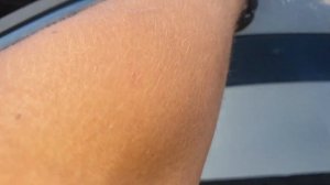 Солнцезащитный козырёк на Газель Фермер