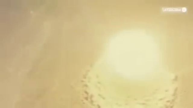 Helados de caca, pepa pig gracioso смотреть онлайн