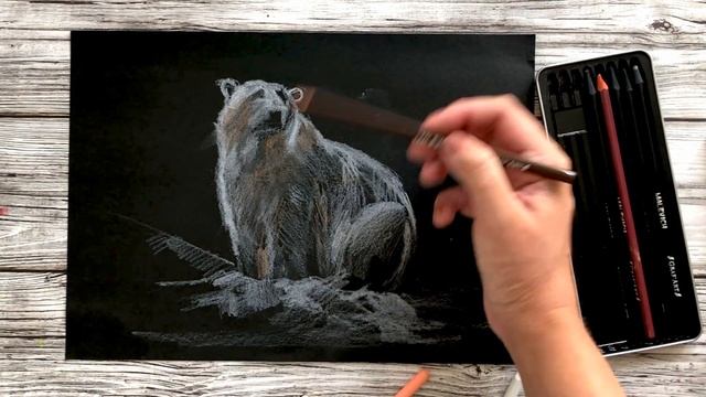 Белый медведь на черной бумаге смотреть онлайн