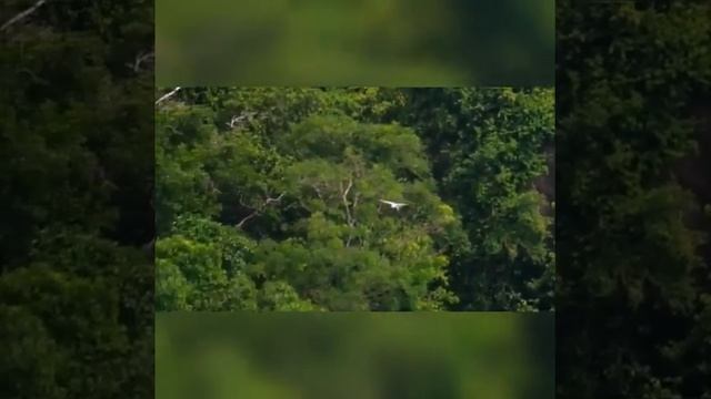 На кумыкском стих -Родители 2023