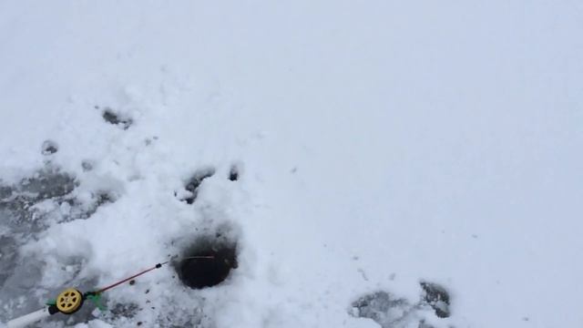 Зимняя сказка на Речке. Удочку утащили под воду. 01.20. Деревенские Будни / Life in the village