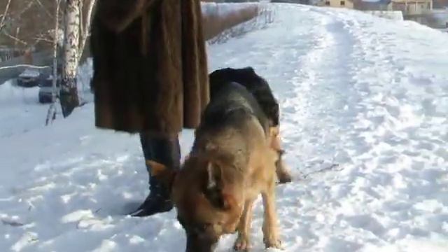 Тасман 2 19 01 13 смотреть онлайн