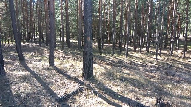 Нашел золотую монету!? Получил кучу эйфории!!!! смотреть онлайн