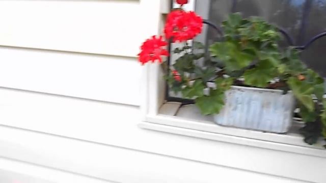 ОБЗОР ДАЧИ 15 ИЮЛЯ 2018г смотреть онлайн