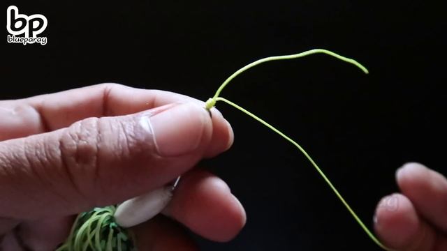 Best 5 Fishing Knots For Lure