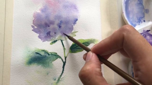 Atmospheric Watercolor Hydrangea | New SkillShare Class | FREE Link in the Description смотреть онлайн