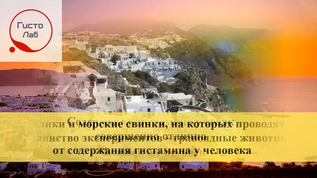 Мифы "доказательной медицины": существует ли физиология человека? смотреть онлайн