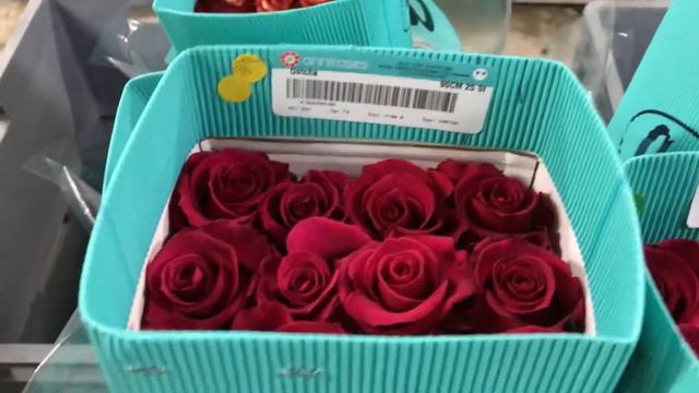 Холодное помещение с длинными розами в Эквадоре смотреть онлайн