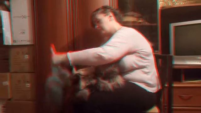 Домашнее расчесывание Папы Кота Мейн Кун Буки. В ходе причесывания никто не пострадал!!!!) смотреть онлайн