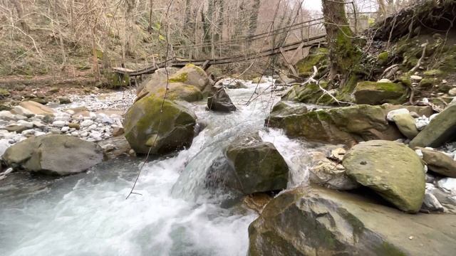Просто ручей в зимнем лесу! ?ЛАЗАРЕВСКОЕ СЕГОДНЯ?СОЧИ.