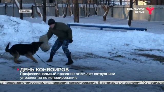 20 января – День специальных подразделений УИС по конвоированию смотреть онлайн