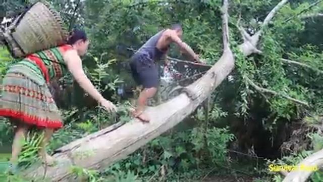 Smart Girl's Find Eggs Underground - Survival skills In The Primitive Village смотреть онлайн