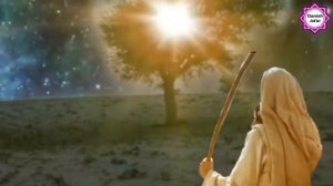 Кисми 4 кисаи мусо алайхиссалом