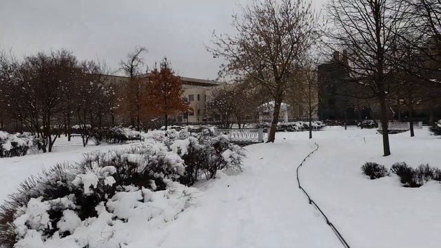 Санкт-Петербург. Музей-усадьба Г.Р. Державина. Польский сад (31.03.2023). смотреть онлайн