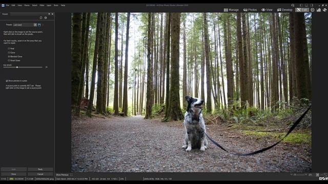 ACDSee Favorite Feature - Blended Clone Tool смотреть онлайн