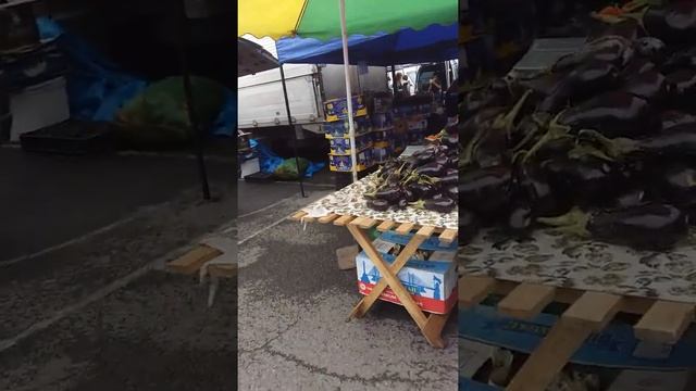 Владивосток цены на рынке шок для южан смотреть онлайн