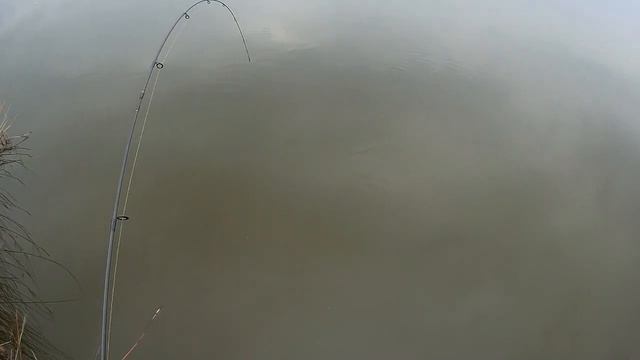 Карп на силиконовую приманку. Рыбалка в Атланте 25 апреля смотреть онлайн