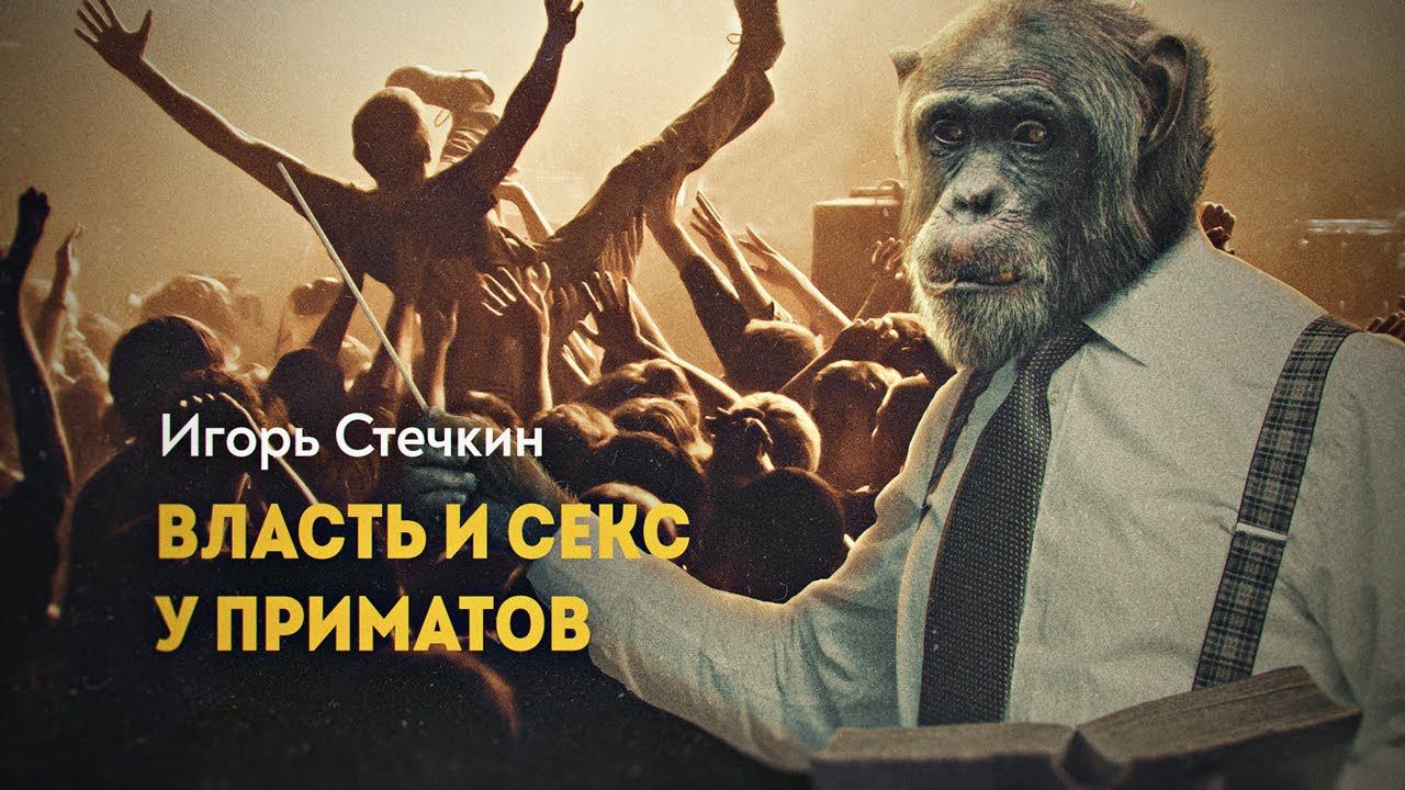 Чему нас учат обезьяны смотреть онлайн