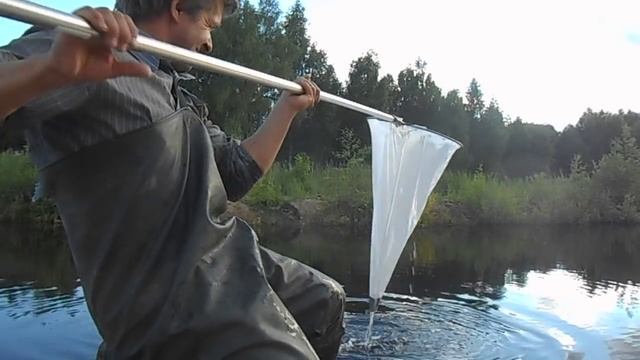 Дафниевая яма месяц после старта. Результат. Часть первая смотреть онлайн