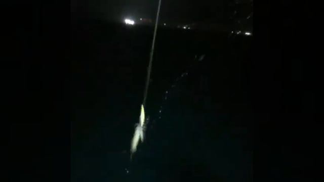 Ловля кальмара на кальмарный воблер Fishka 17 гр в ночь с 25 на 26 июля 2021 г смотреть онлайн