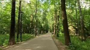 Богач на мели купил зечке УДО и взял сиделкой угасающей матери, а едва сирота увидела в спальне фот