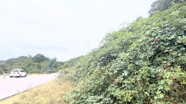 VLOG КОТОРЫЙ ДОЛЖЕН ПОСМОТРЕТЬ КАЖДЫЙ! Самый уютный и тёплый влог смотреть онлайн