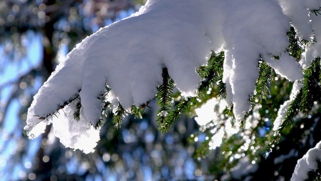 2022. Водолейская Россия смотреть онлайн