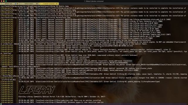 Liferay 7 Community Edition GA5 & Oracle 12c via Docker Composer смотреть онлайн