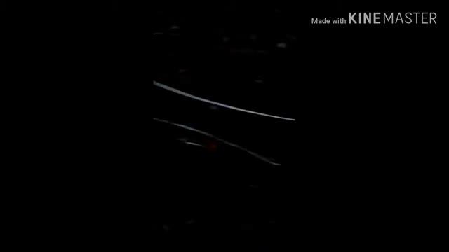 Топ петли на фазана смотреть онлайн