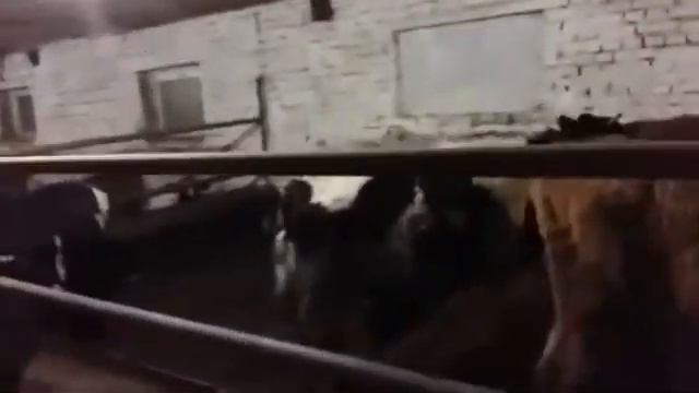 Злой скотник смотреть онлайн