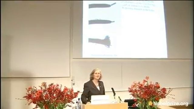2009 Nobel Lecture in Physiology or Medicine by Elizabeth H. Blackburn смотреть онлайн