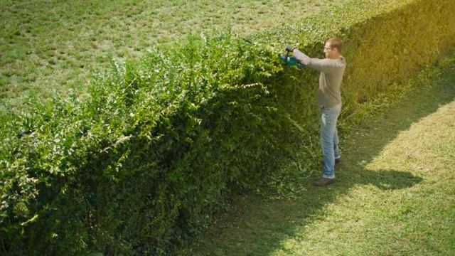 Bosch Green AHS 50-20 LI / AHS 55-20 LI 18v Cordless Hedge Cutters смотреть онлайн