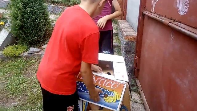 Как правильно кататься на скейте смотреть онлайн