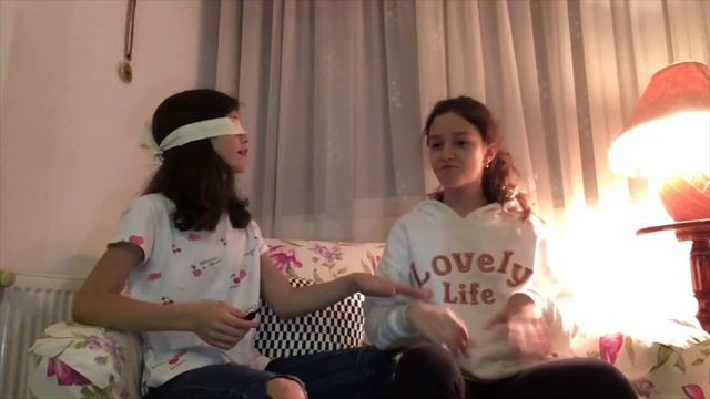 BLINDFOLD MAKEUP CHALLENGE w/ Diana Nazarevscky | Erica Furdi смотреть онлайн