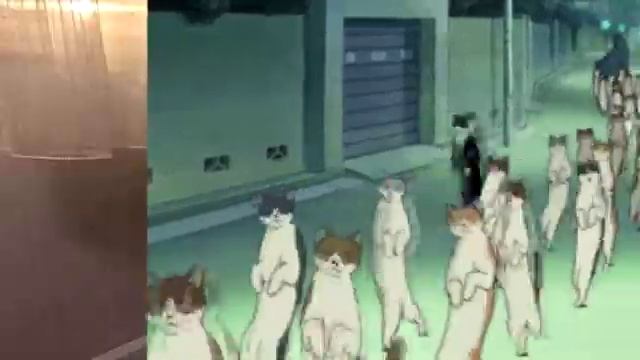 кошачья мята для меня ням ням