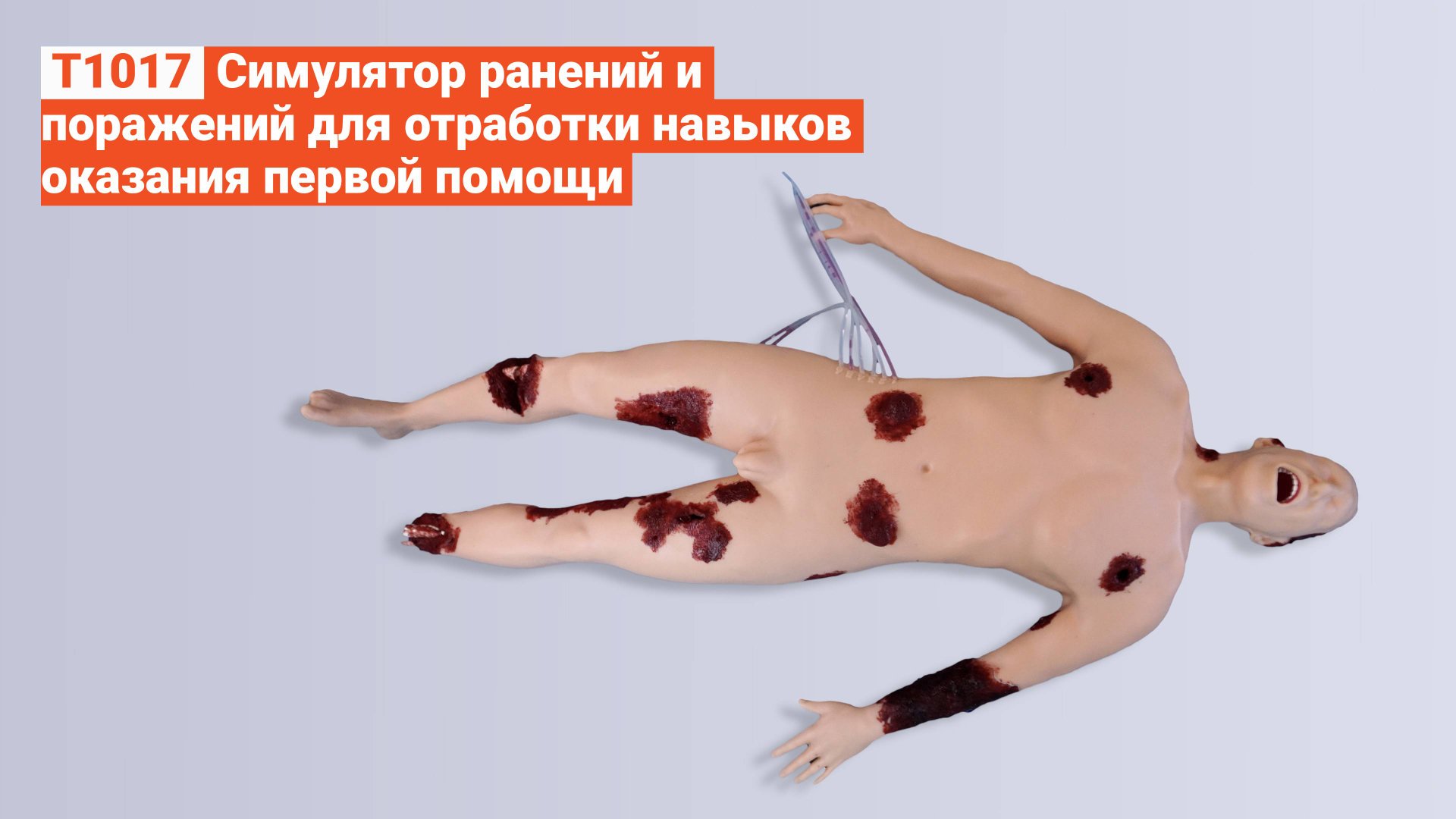 T1017 - Симулятор Ранений и Поражений для Отработки Навыков Оказания Первой Помощи смотреть онлайн