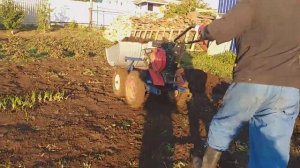 Мини думпер, мини самосвал на мотоблоке Ока