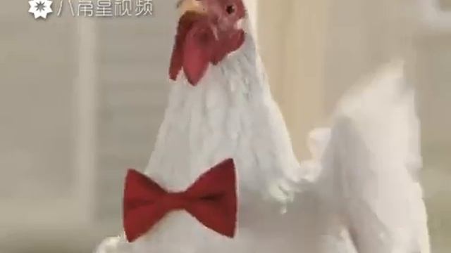 Френки Лонг лечит кукл сломалось у куклы нога или рука  и сразу же викидывают кукл а лучше починить