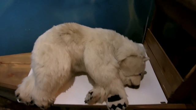 Медвежонок в ресторане Экспедиция. Нижний Новгород смотреть онлайн