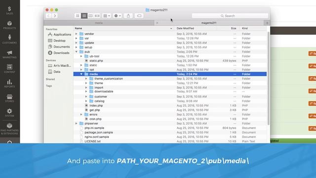 Migrate Magento 1 to Magento 2 - Ultimate Guide (V3) смотреть онлайн