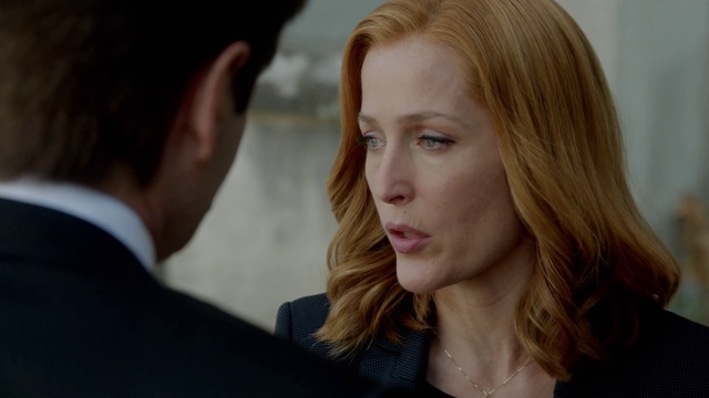 THE X-FILES Re-Opened смотреть онлайн