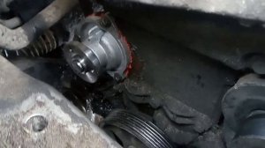 форд фокус 1.6 дюратек  8 кл .замена помпы