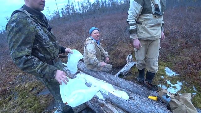 Солим солонец. Подготовка к охоте на Солонцах.