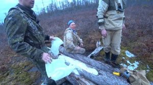 Солим солонец. Подготовка к охоте на Солонцах.